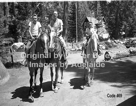 Horseback Riding on Sunnyside